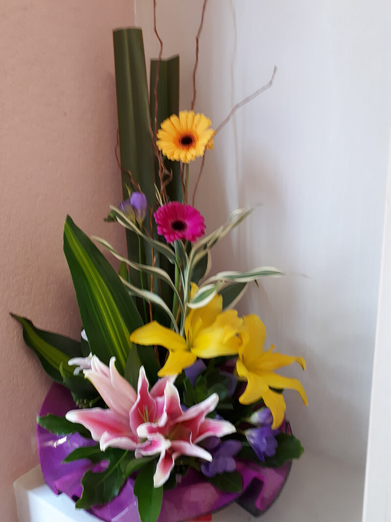 Flower Delivery Wellington | Flower Arrangement Gallery Porirua